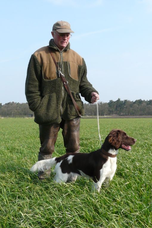 Prüfungsergebnisse 2008