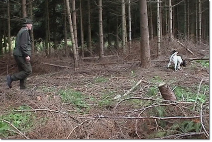 VSWP2007_Auf-der-Fhrte