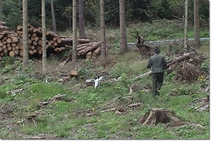 VSWP2007_Auf-der-Frte2
