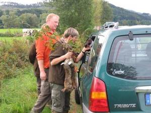 HZP2008_Medebach_1