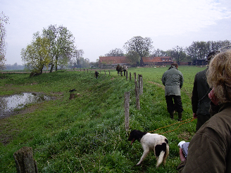 VJP2008_Greven_10