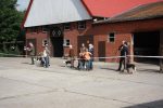 k640_zuchtschau 2012 -leistungsvergleich 011