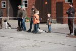 k640_zuchtschau 2012 -leistungsvergleich 028