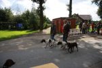 k640_zuchtschau 2012 -leistungsvergleich 041