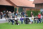 k640_zuchtschau 2012 -leistungsvergleich 055
