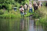 k640_zuchtschau 2012 -leistungsvergleich 090