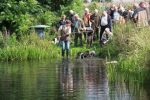 k640_zuchtschau 2012 -leistungsvergleich 093