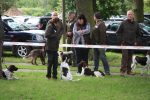 k640_zuchtschau 2012 -leistungsvergleich 122