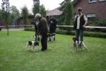 k640_zuchtschau 2012 -leistungsvergleich 216