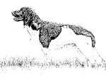 karlo_vom_grenzwall-strichzeichnung