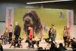 10Bild_Sonntag_Vorstellung