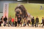 11Bild_Sonntag_vorstellung