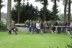 2008_ZS_IMG_2675_3_1