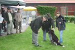 2008_ZS_IMG_2794_3_1