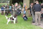 2008_ZS_IMG_3036_2_1