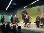 2BildMittowch_Kupfer stellt vor
