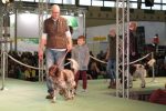 9Bild_Sonntag_Vorstellung