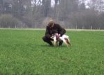 Bild2