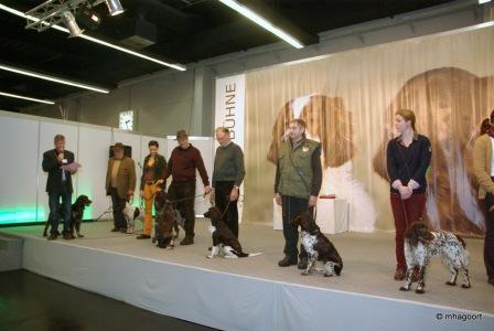 Jagd und Hund 2013
