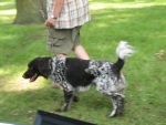 ZS_2009_Herzebrock_IMG_0342