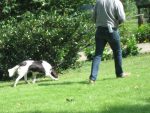 ZS_2009_Herzebrock_IMG_0352