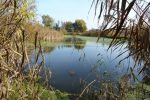 ldinghausen2