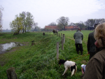 vjp2008_greven_10
