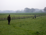 vjp2008_greven_16