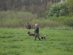 vjp2008_greven_22