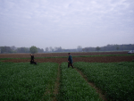 vjp2008_greven_8