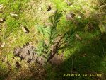 vswp2009-09-12_023