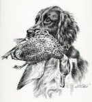 IMG-20190306-WA0014(1)