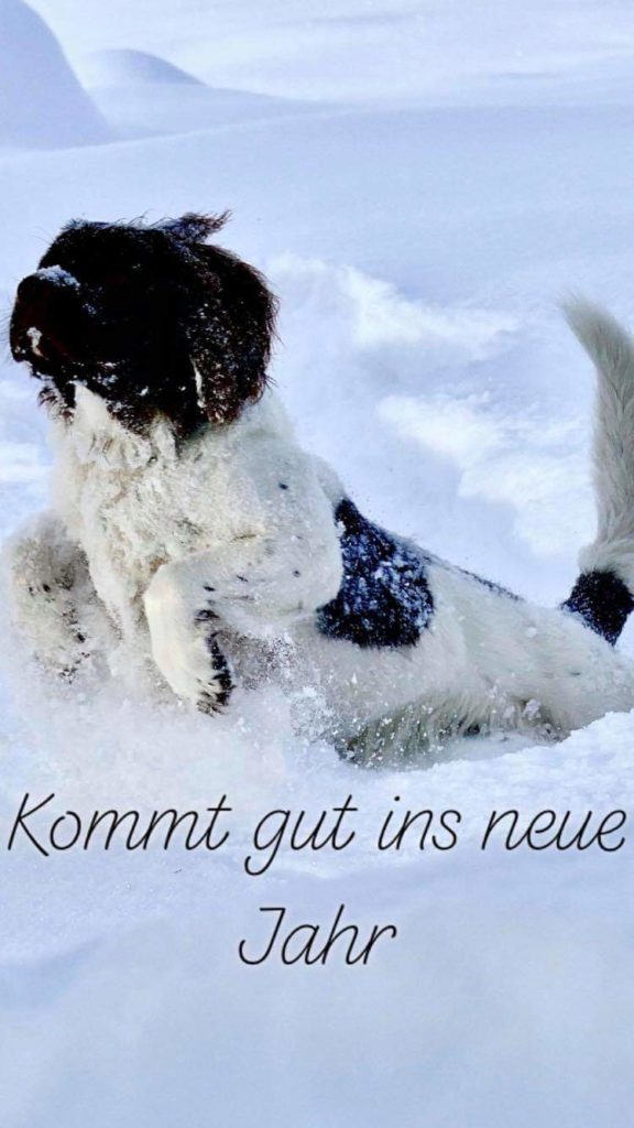 Foto Manuela Ziegenhirt