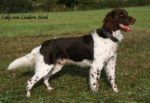 18-0092-Luke-von-Lindern-Nord_