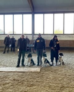 Zuchtschau in Havixbeck