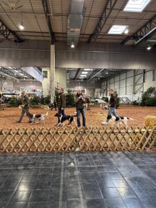 Jagd und Hund 2025
